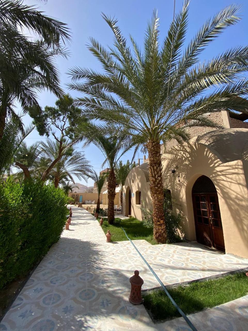 Hotel Sekhmet Retreat Centre à Louxor Extérieur photo