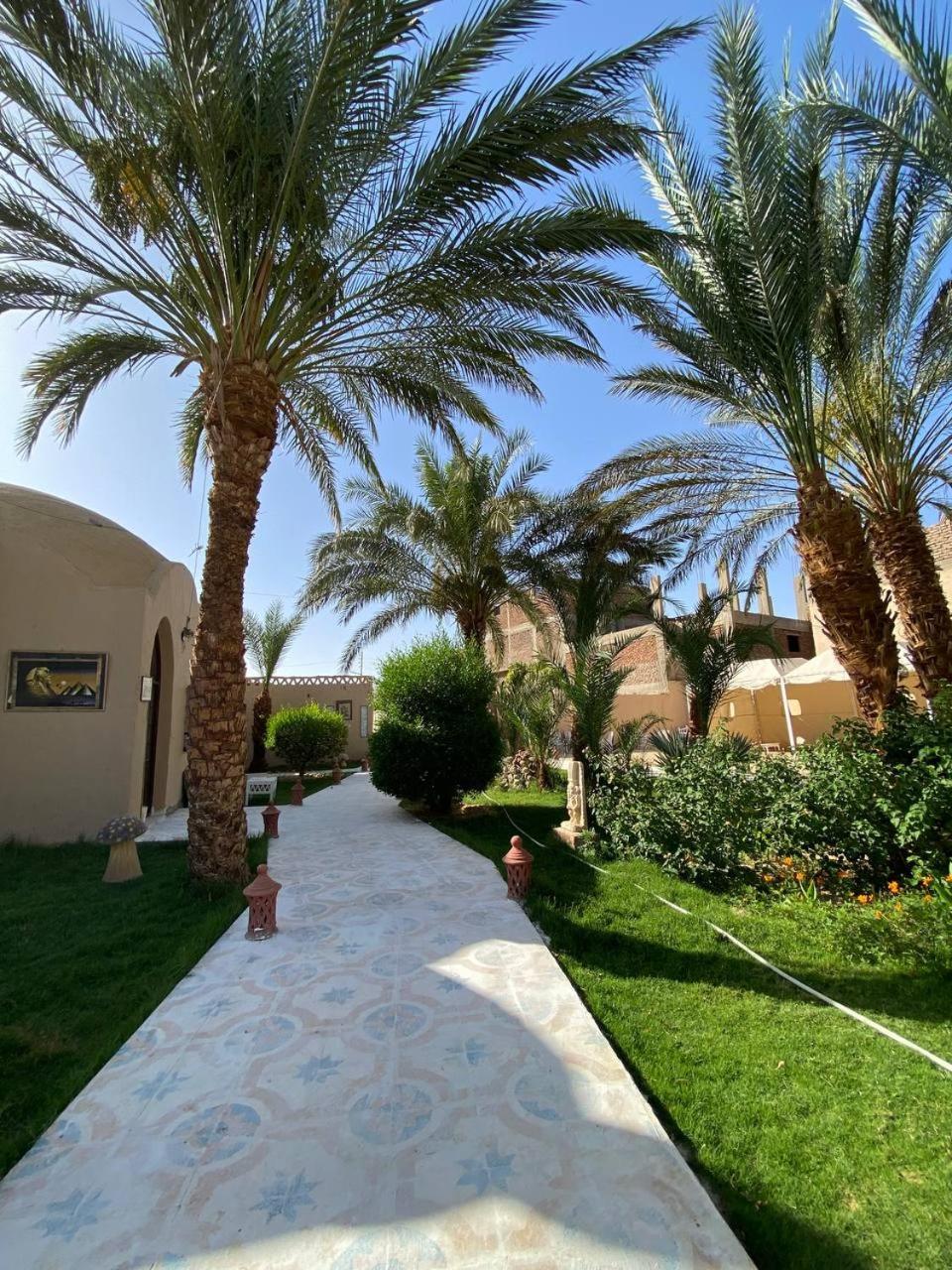 Hotel Sekhmet Retreat Centre à Louxor Extérieur photo